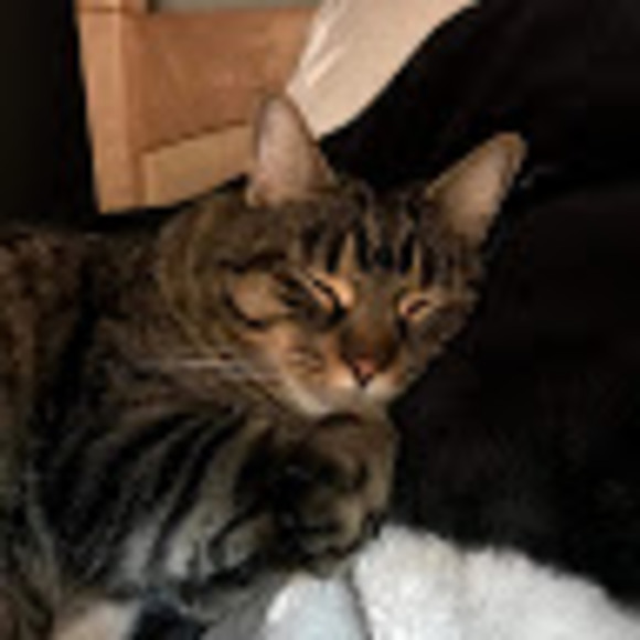 Meet your Posher, Emily - Picture 1 of 1